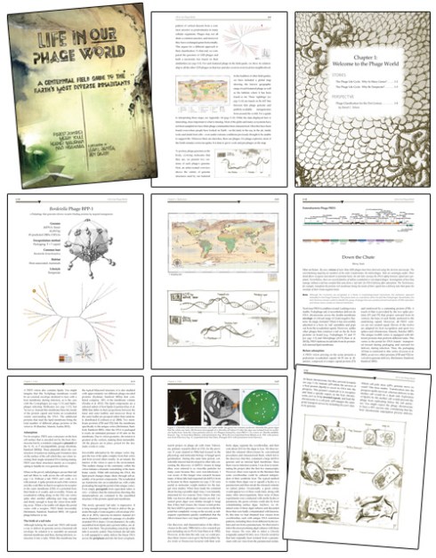 Life in Our Phage World