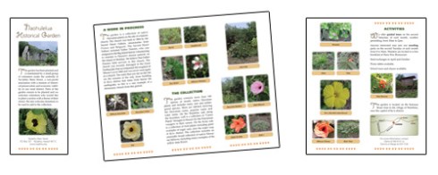Naohulelua Garden Tour Brochure
