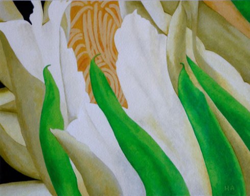 Night Blooming Cereus