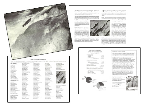 Non-profit Organization Annual Report